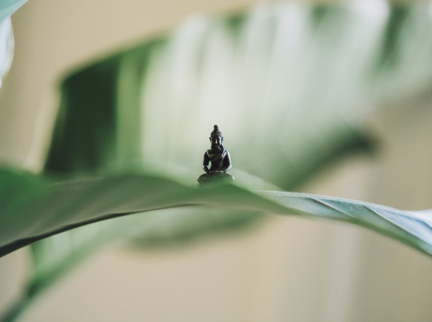 selective focus photography of black Buddha figurine on green leaf