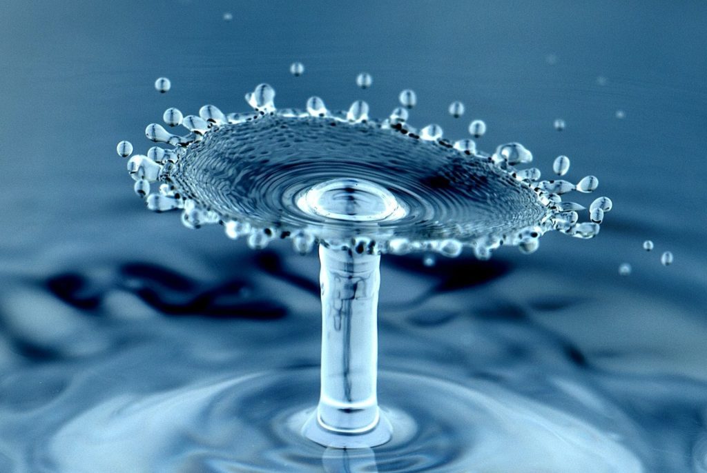 water drops macro photography