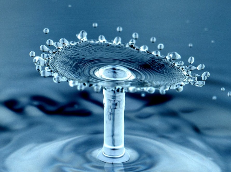 water drops macro photography