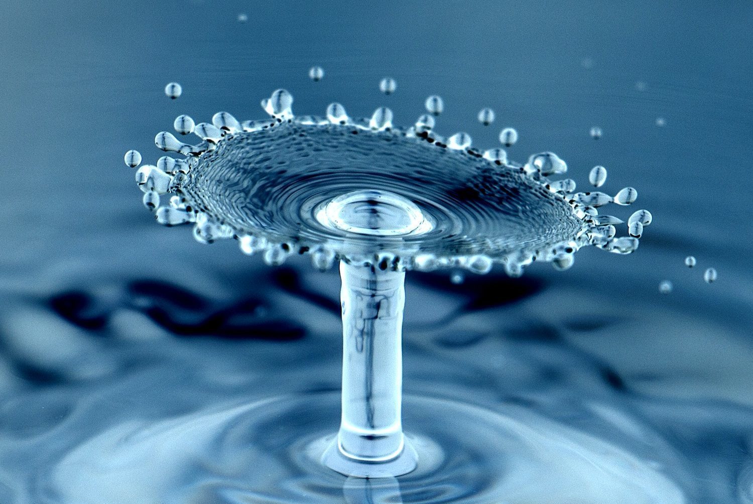 water drops macro photography
